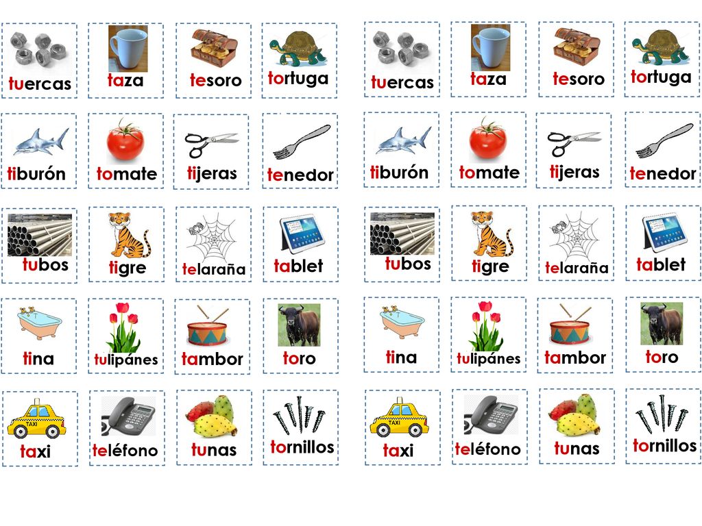 tuercas taza tesoro tortuga tortuga tuercas taza tesoro tiburón tomate