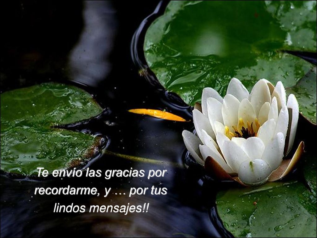 Te envío las gracias por recordarme, y … por tus lindos mensajes!!