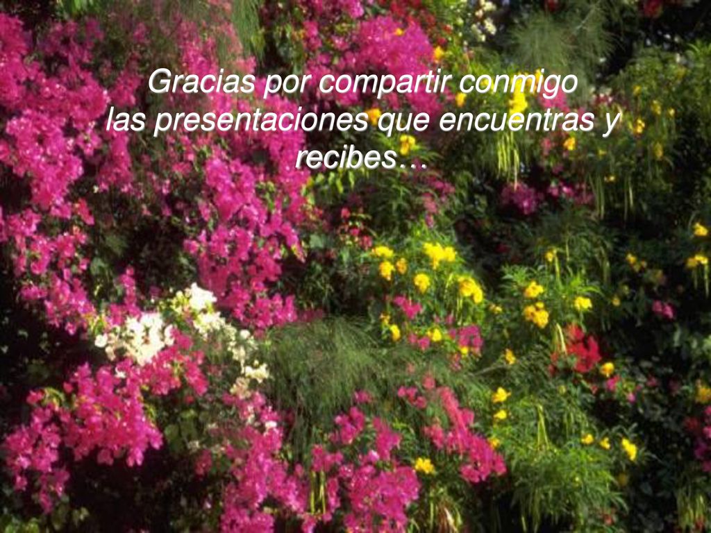 Gracias por compartir conmigo las presentaciones que encuentras y recibes…