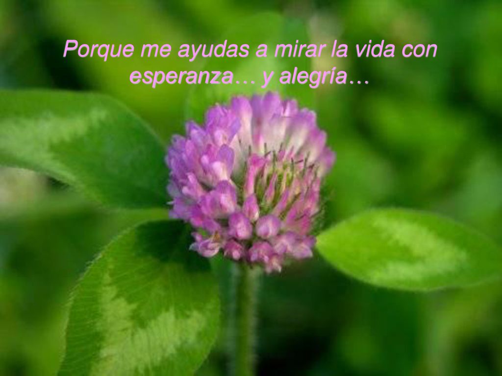 Porque me ayudas a mirar la vida con esperanza… y alegría…