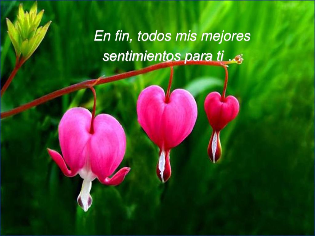 En fin, todos mis mejores sentimientos para ti …
