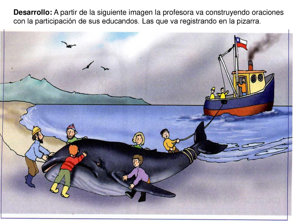 Desarrollo: A partir de la siguiente imagen la profesora va construyendo oraciones