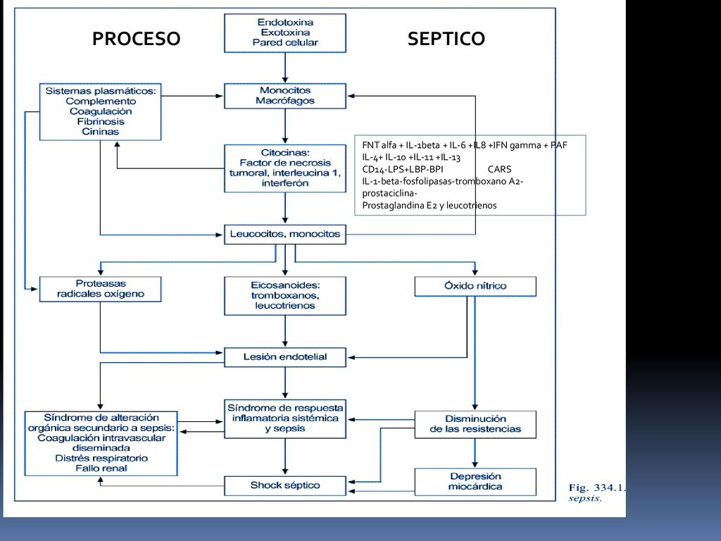 PROCESO SEPTICO FNT alfa + IL-1beta + IL-6 +IL8 +IFN gamma + PAF