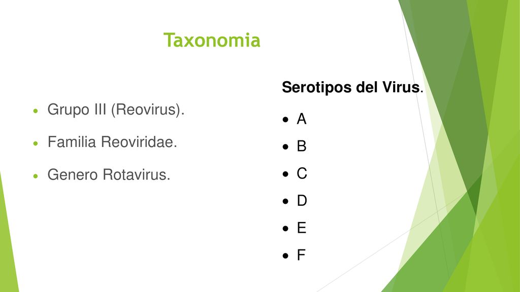 Taxonomia Serotipos del Virus. A Grupo III (Reovirus). B