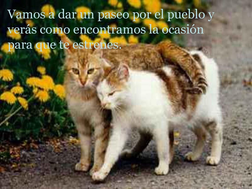 Vamos a dar un paseo por el pueblo y verás como encontramos la ocasión para que te estrenes.