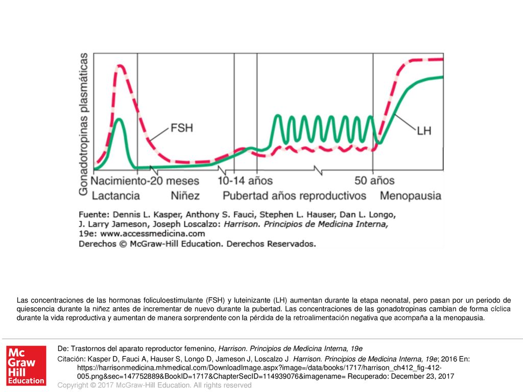 Las concentraciones de las hormonas foliculoestimulante (FSH) y luteinizante (LH) aumentan durante la etapa neonatal, pero pasan por un periodo de quiescencia durante la niñez antes de incrementar de nuevo durante la pubertad. Las concentraciones de las gonadotropinas cambian de forma cíclica durante la vida reproductiva y aumentan de manera sorprendente con la pérdida de la retroalimentación negativa que acompaña a la menopausia.