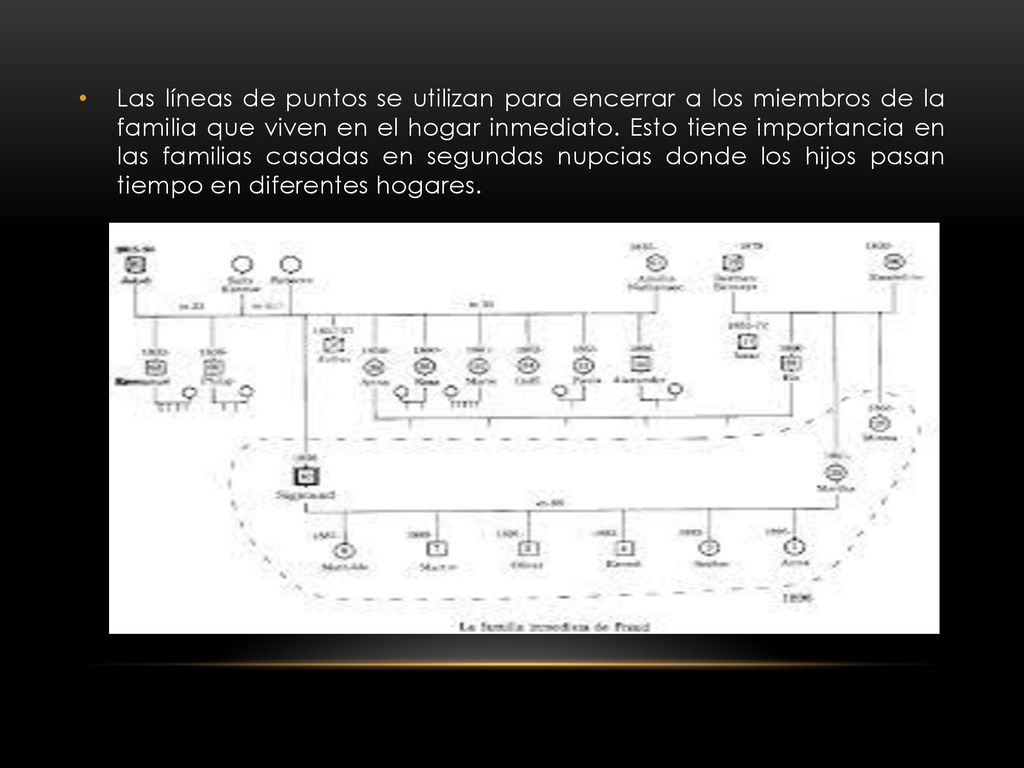 Las líneas de puntos se utilizan para encerrar a los miembros de la familia que viven en el hogar inmediato.