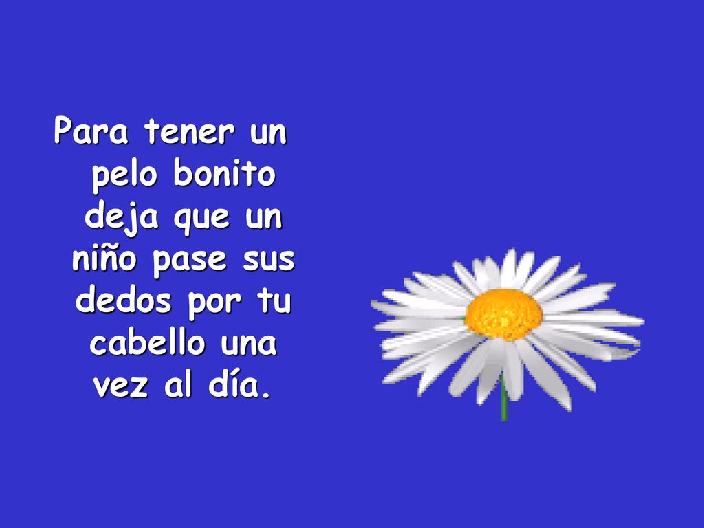 Para tener un pelo bonito deja que un niño pase sus dedos por tu cabello una vez al día.