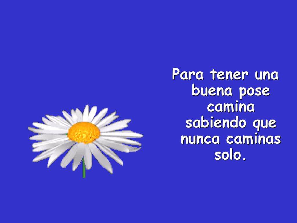 Para tener una buena pose camina sabiendo que nunca caminas solo.