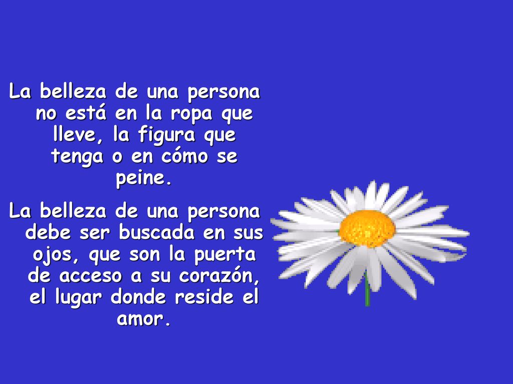 La belleza de una persona no está en la ropa que lleve, la figura que tenga o en cómo se peine.