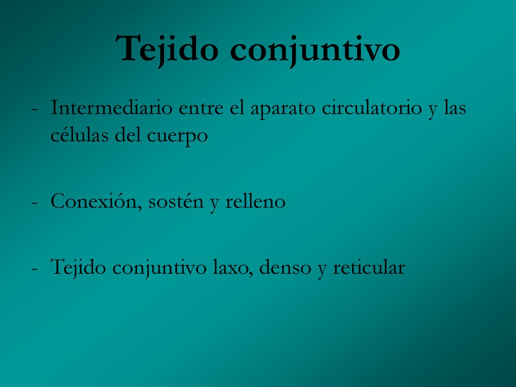 Tejido conjuntivo Intermediario entre el aparato circulatorio y las células del cuerpo. Conexión, sostén y relleno.