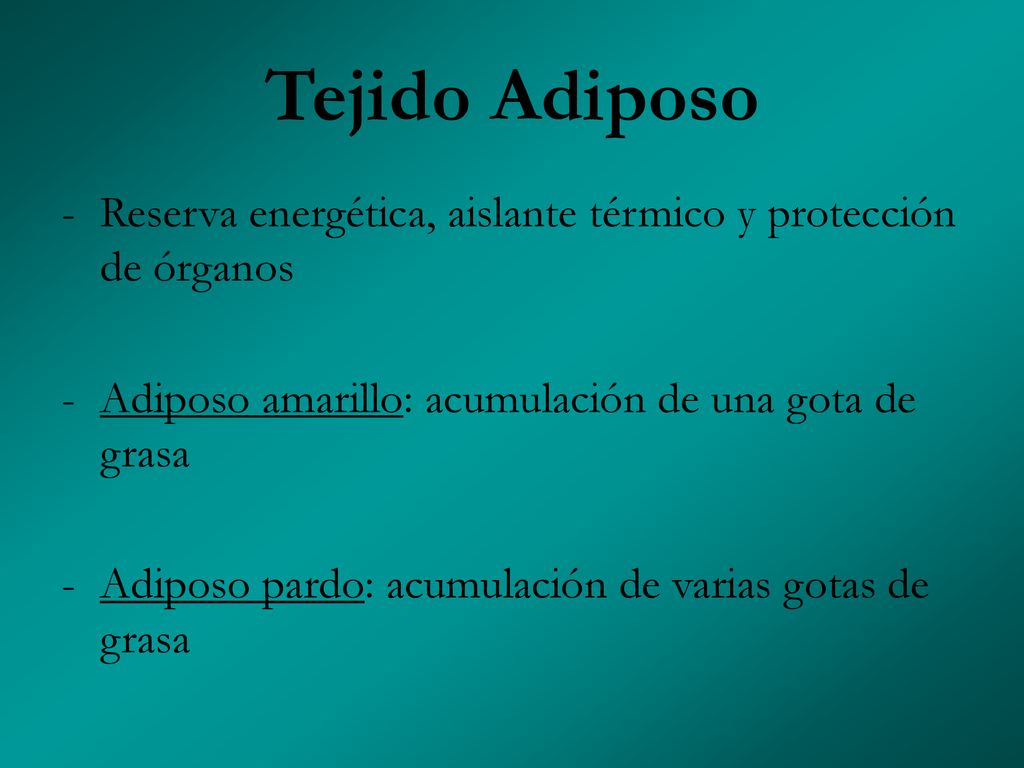 Tejido Adiposo Reserva energética, aislante térmico y protección de órganos. Adiposo amarillo: acumulación de una gota de grasa.
