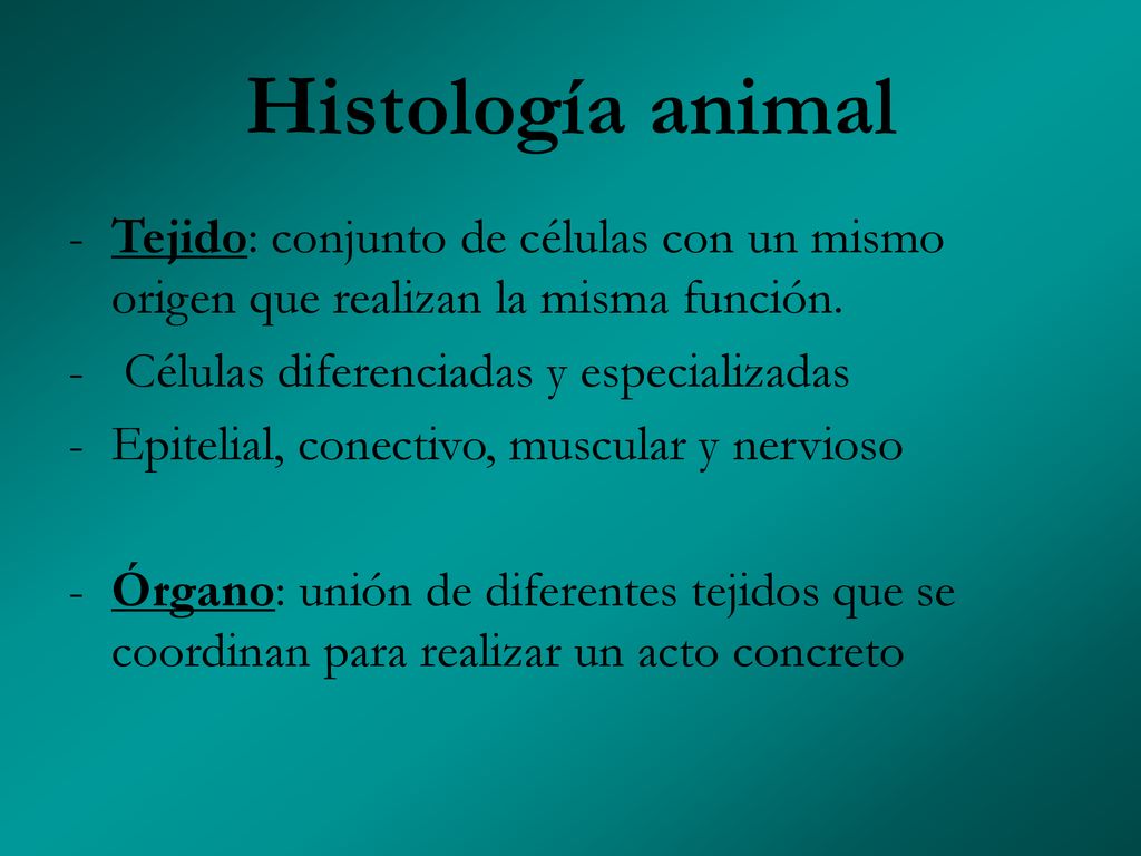 Histología animal Tejido: conjunto de células con un mismo origen que realizan la misma función. Células diferenciadas y especializadas.