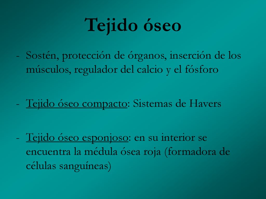 Tejido óseo Sostén, protección de órganos, inserción de los músculos, regulador del calcio y el fósforo.