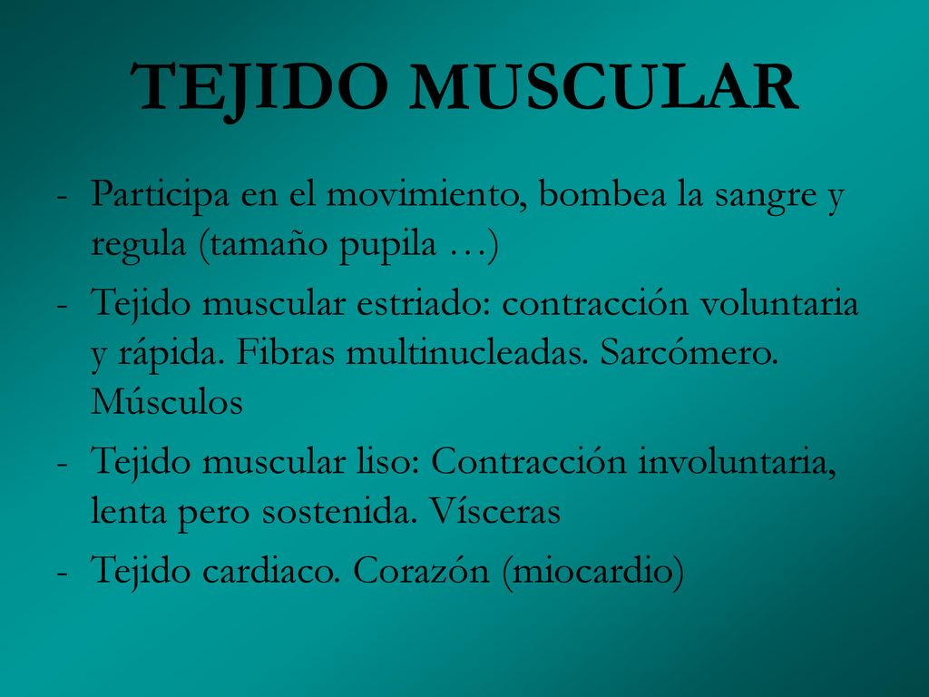 TEJIDO MUSCULAR Participa en el movimiento, bombea la sangre y regula (tamaño pupila …)