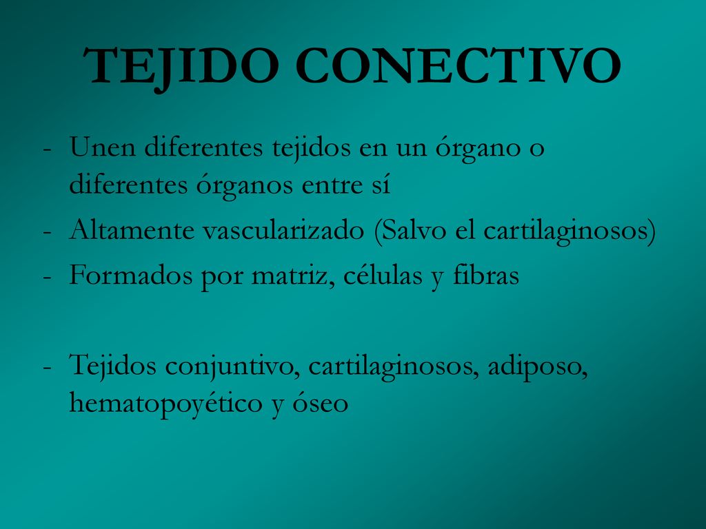TEJIDO CONECTIVO Unen diferentes tejidos en un órgano o diferentes órganos entre sí. Altamente vascularizado (Salvo el cartilaginosos)