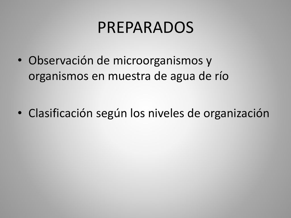 PREPARADOS Observación de microorganismos y organismos en muestra de agua de río.