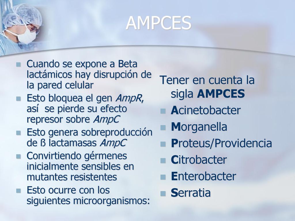 AMPCES Tener en cuenta la sigla AMPCES Acinetobacter Morganella