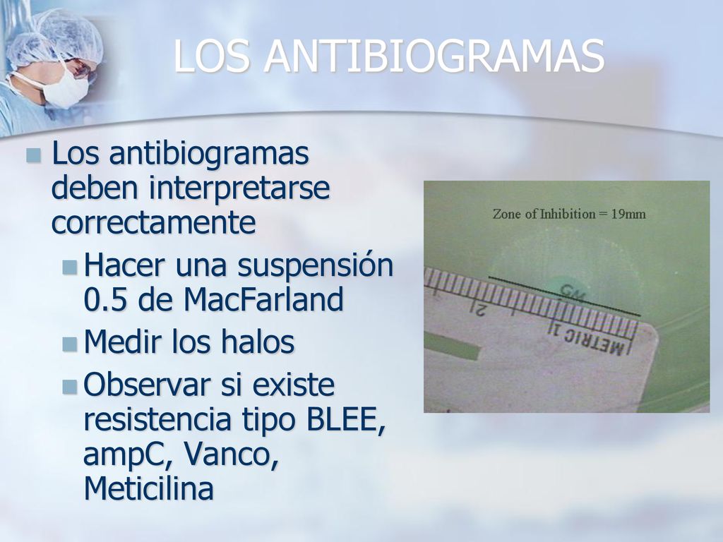 LOS ANTIBIOGRAMAS Los antibiogramas deben interpretarse correctamente