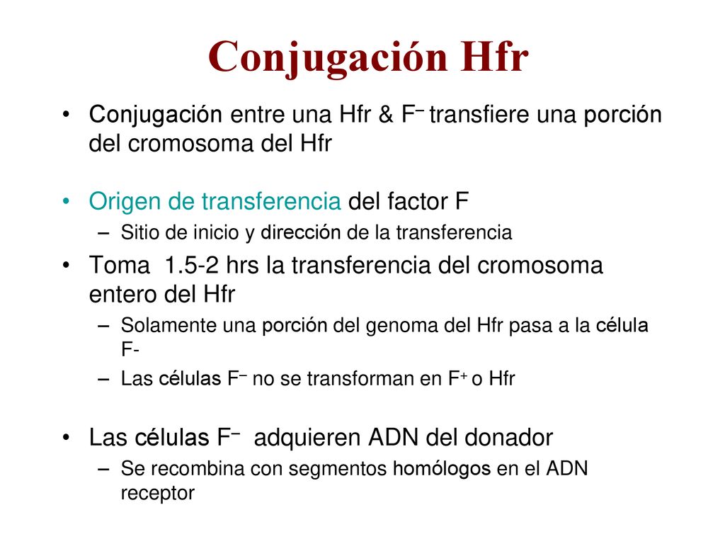 Conjugación Hfr Conjugación entre una Hfr & F– transfiere una porción del cromosoma del Hfr. Origen de transferencia del factor F.