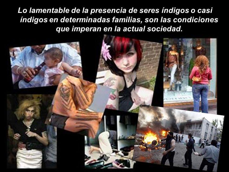 Lo lamentable de la presencia de seres índigos o casi índigos en determinadas familias, son las condiciones que imperan en la actual sociedad.