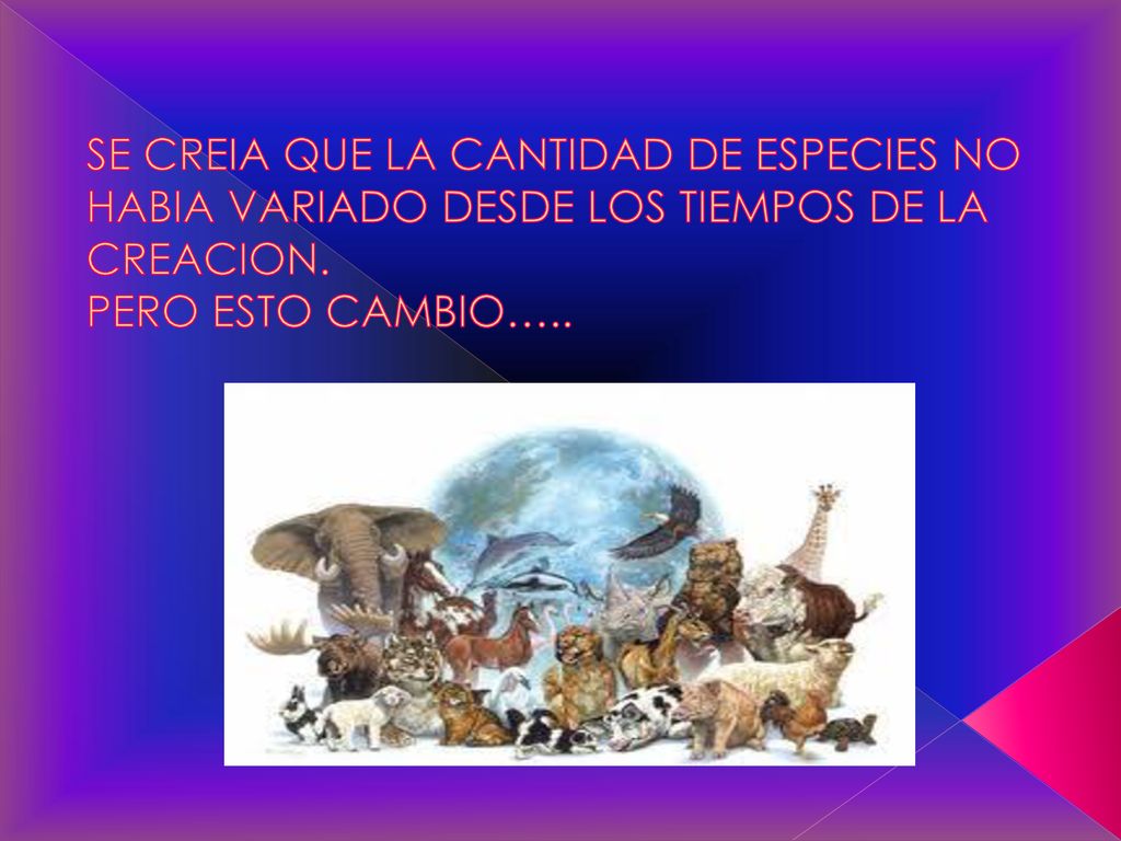 SE CREIA QUE LA CANTIDAD DE ESPECIES NO HABIA VARIADO DESDE LOS TIEMPOS DE LA CREACION.