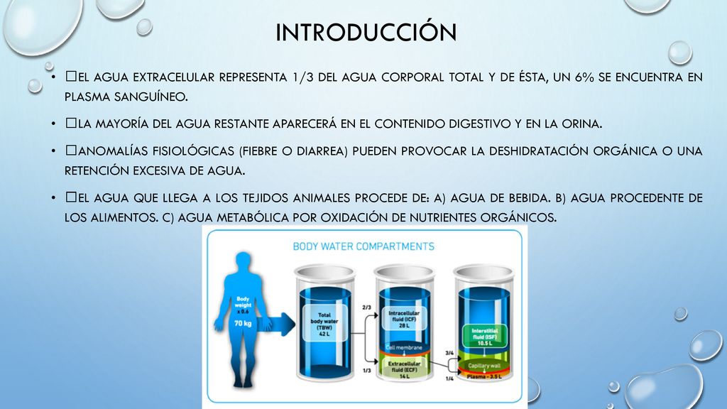 INTRODUCCIÓN El agua extracelular representa 1/3 del agua corporal total y de ésta, un 6% se encuentra en plasma sanguíneo.