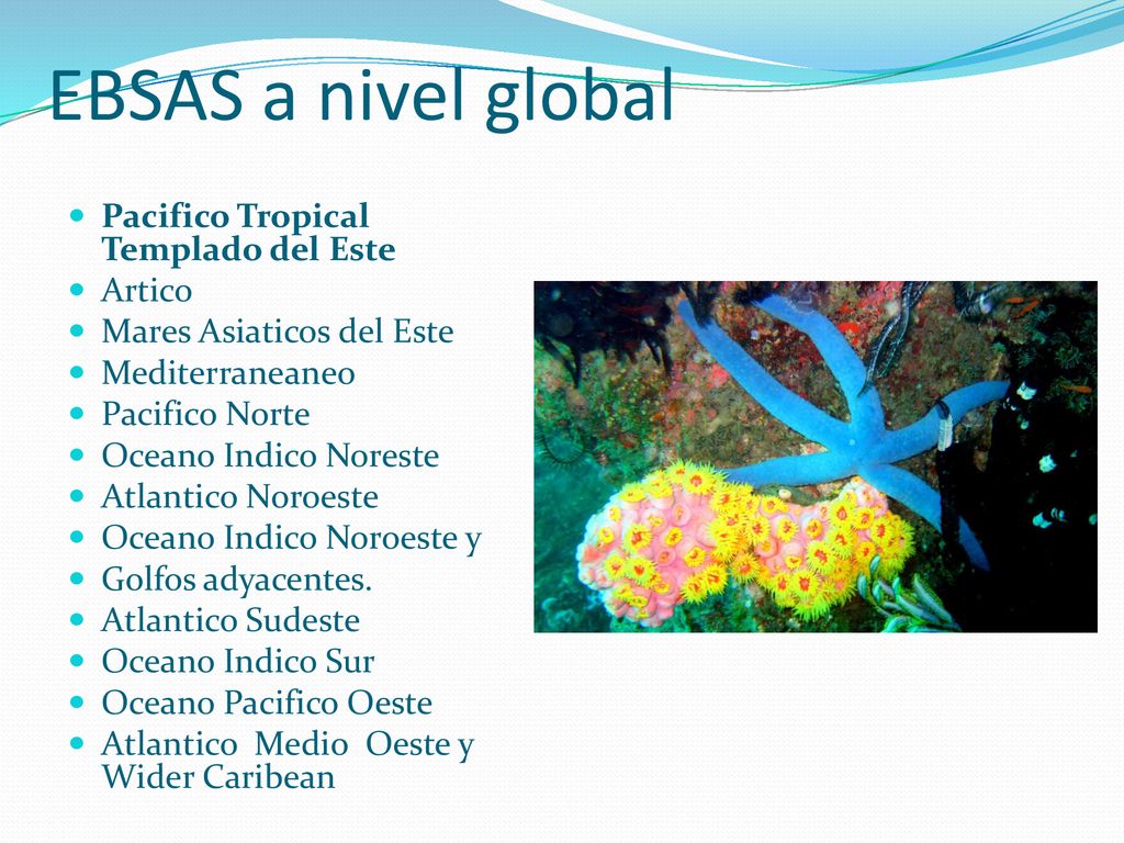 EBSAS a nivel global Pacifico Tropical Templado del Este Artico