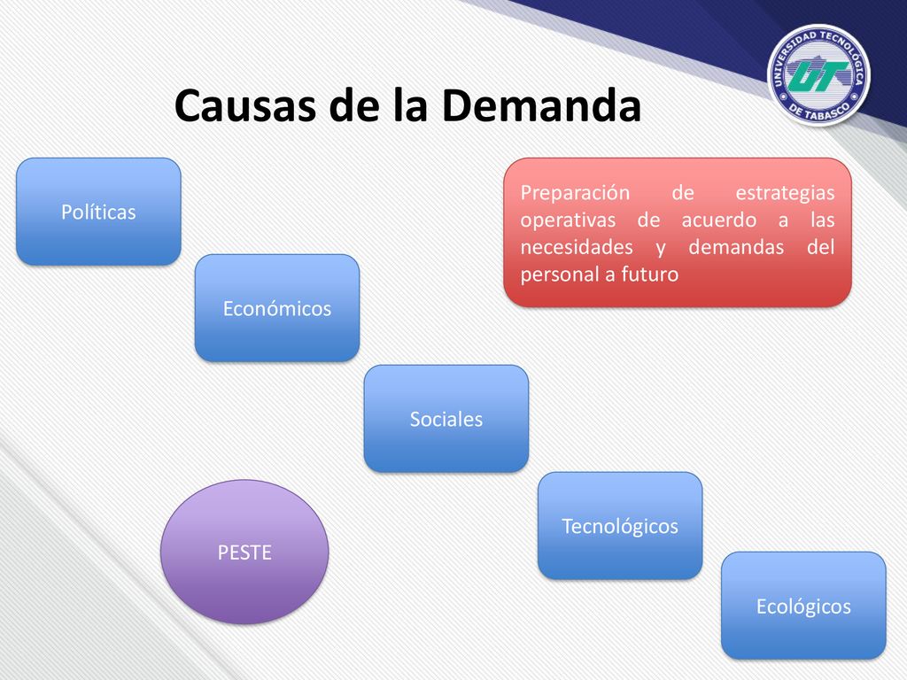 Causas de la Demanda Políticas. Preparación de estrategias operativas de acuerdo a las necesidades y demandas del personal a futuro.