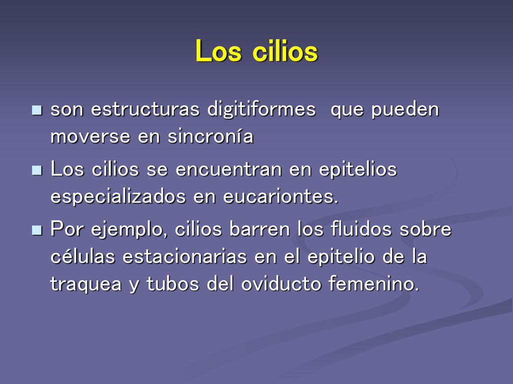 Los cilios son estructuras digitiformes que pueden moverse en sincronía. Los cilios se encuentran en epitelios especializados en eucariontes.
