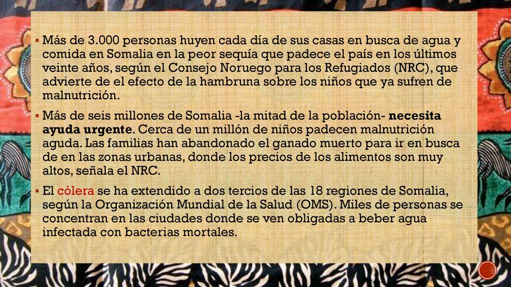 Más de personas huyen cada día de sus casas en busca de agua y comida en Somalia en la peor sequía que padece el país en los últimos veinte años, según el Consejo Noruego para los Refugiados (NRC), que advierte de el efecto de la hambruna sobre los niños que ya sufren de malnutrición.