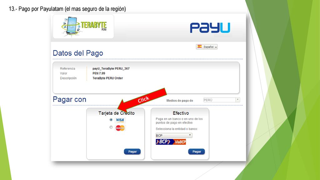13.- Pago por Payulatam (el mas seguro de la región)