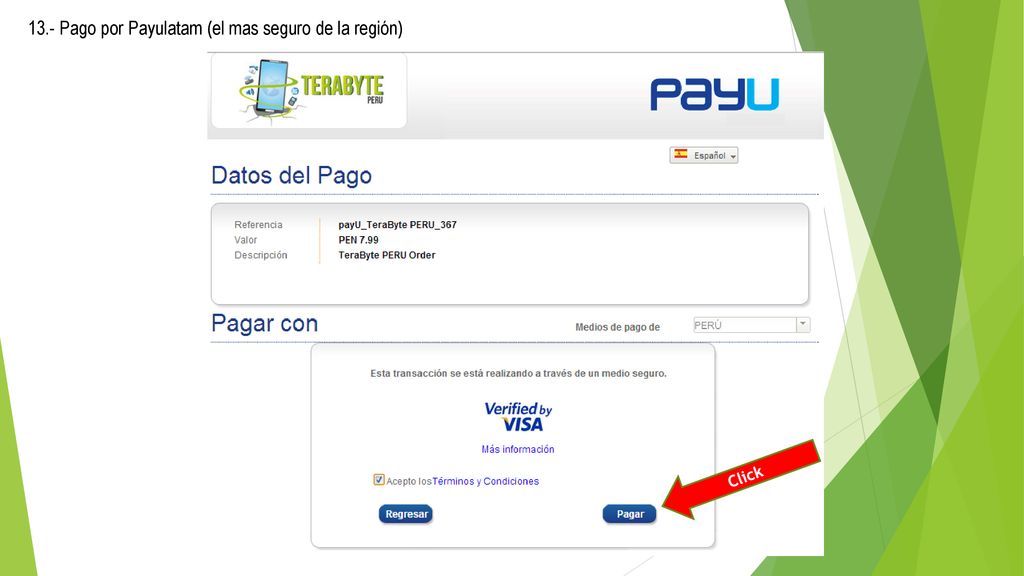 13.- Pago por Payulatam (el mas seguro de la región)