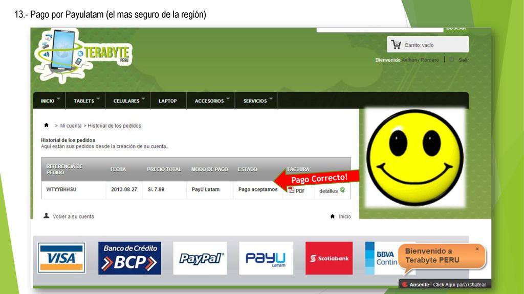 13.- Pago por Payulatam (el mas seguro de la región)