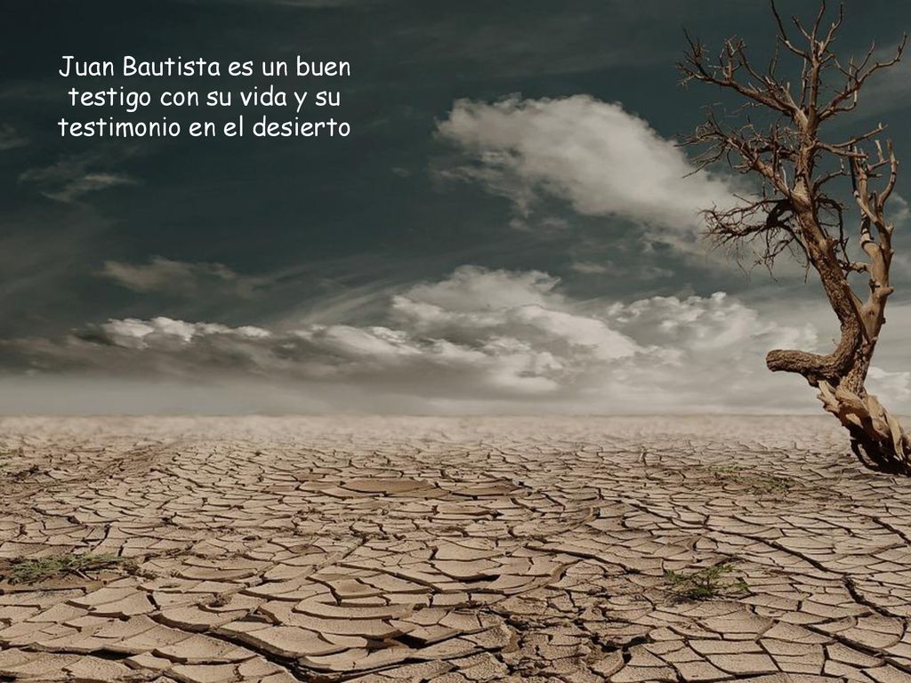 Juan Bautista es un buen testigo con su vida y su testimonio en el desierto