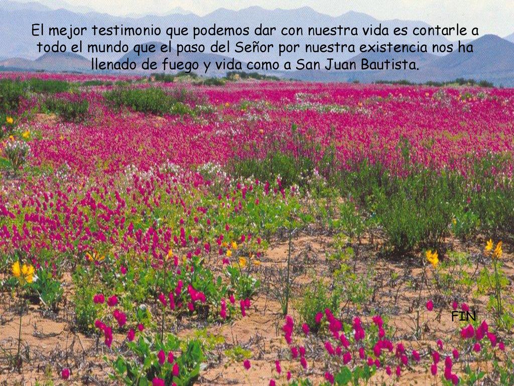 El mejor testimonio que podemos dar con nuestra vida es contarle a todo el mundo que el paso del Señor por nuestra existencia nos ha llenado de fuego y vida como a San Juan Bautista.