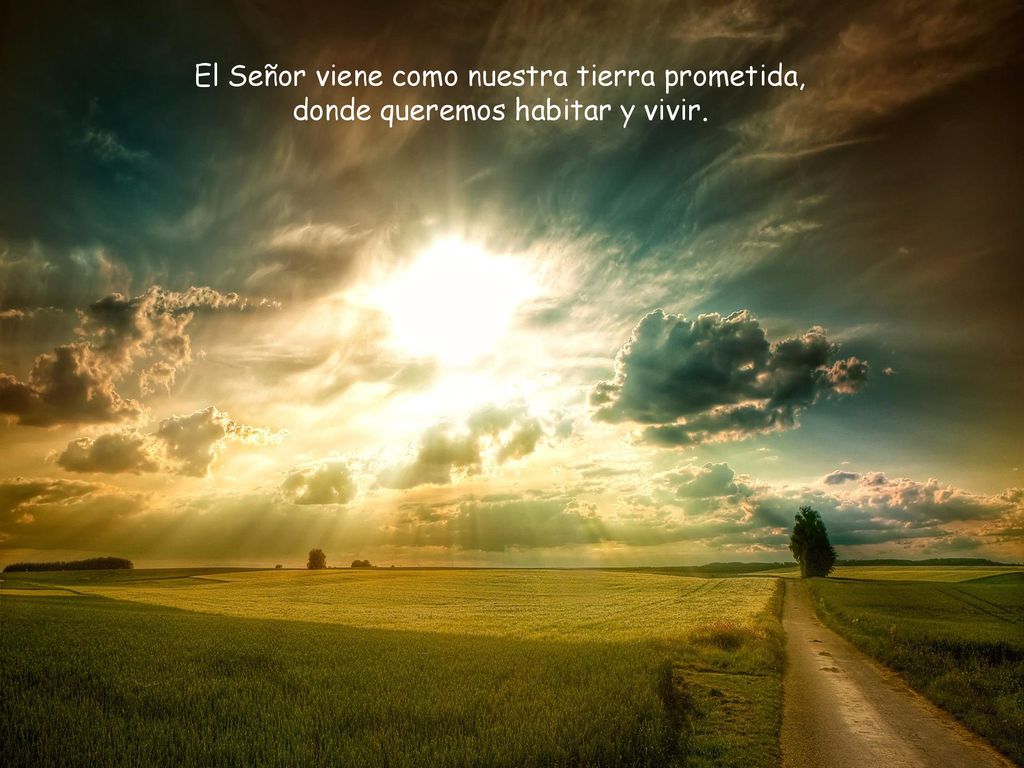 El Señor viene como nuestra tierra prometida, donde queremos habitar y vivir.