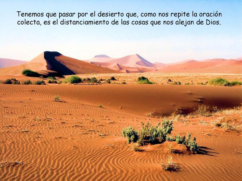 Tenemos que pasar por el desierto que, como nos repite la oración colecta, es el distanciamiento de las cosas que nos alejan de Dios.