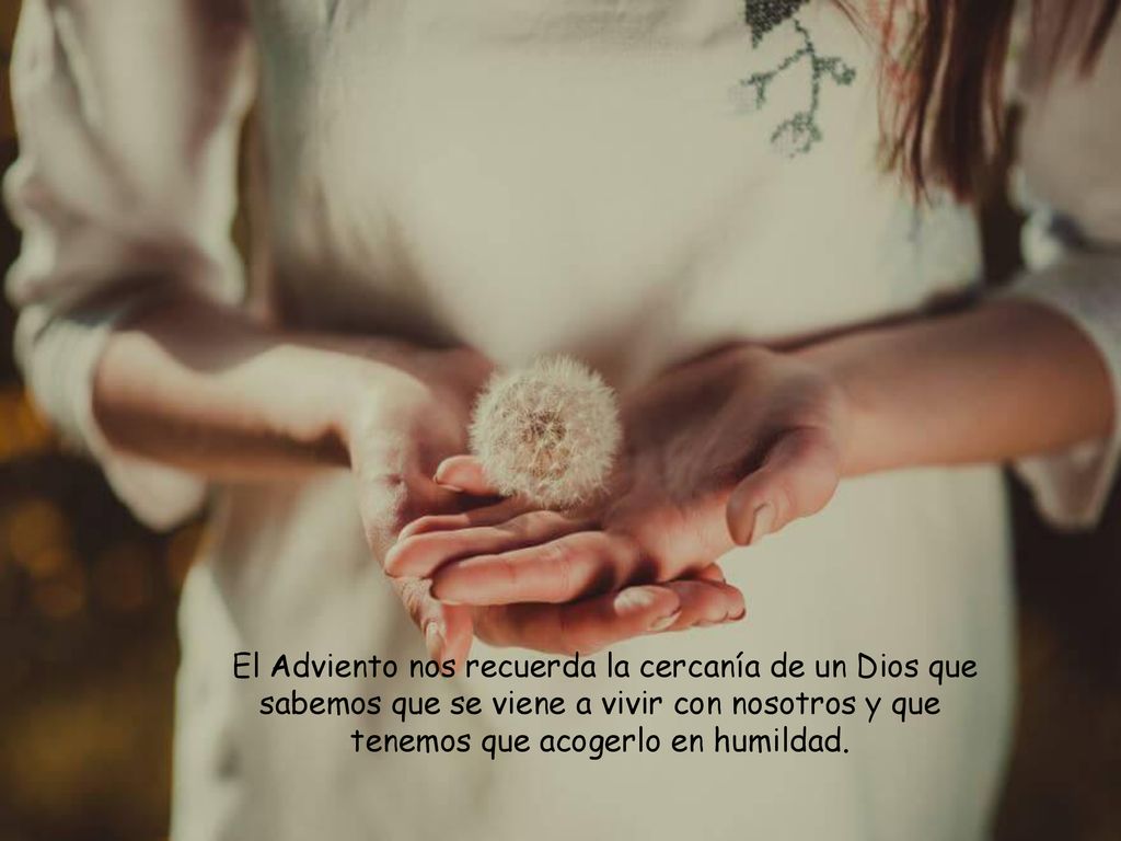 El Adviento nos recuerda la cercanía de un Dios que sabemos que se viene a vivir con nosotros y que tenemos que acogerlo en humildad.