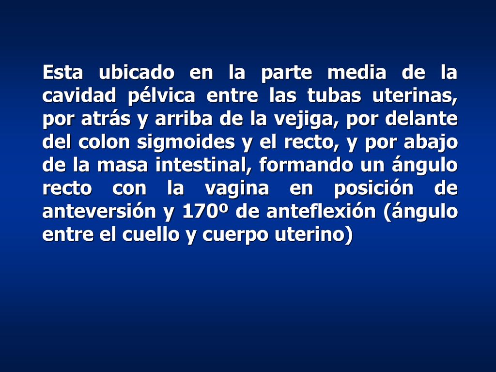 Esta ubicado en la parte media de la cavidad pélvica entre las tubas uterinas, por atrás y arriba de la vejiga, por delante del colon sigmoides y el recto, y por abajo de la masa intestinal, formando un ángulo recto con la vagina en posición de anteversión y 170º de anteflexión (ángulo entre el cuello y cuerpo uterino)