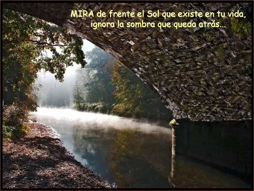 MIRA de frente el Sol que existe en tu vida,