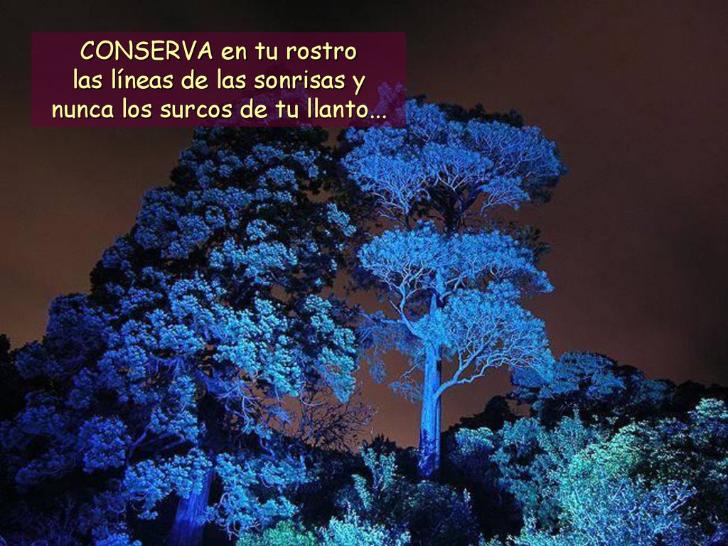 las líneas de las sonrisas y nunca los surcos de tu llanto...