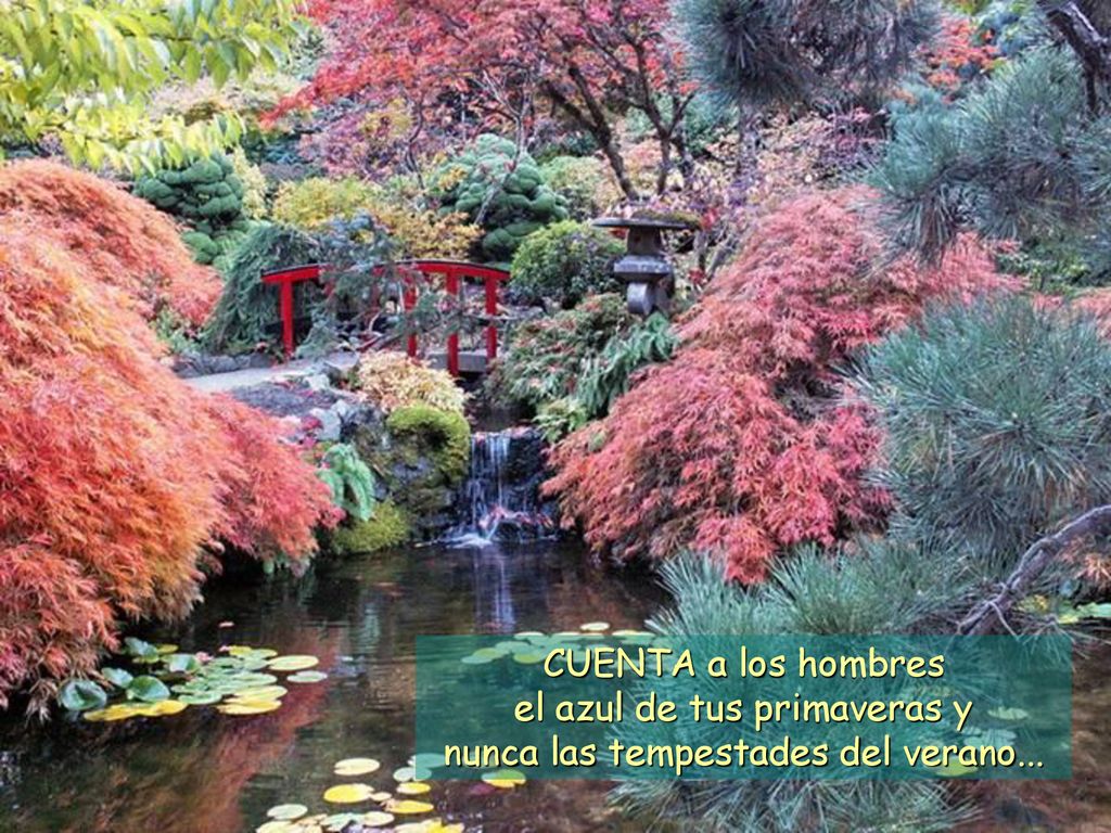 el azul de tus primaveras y nunca las tempestades del verano...