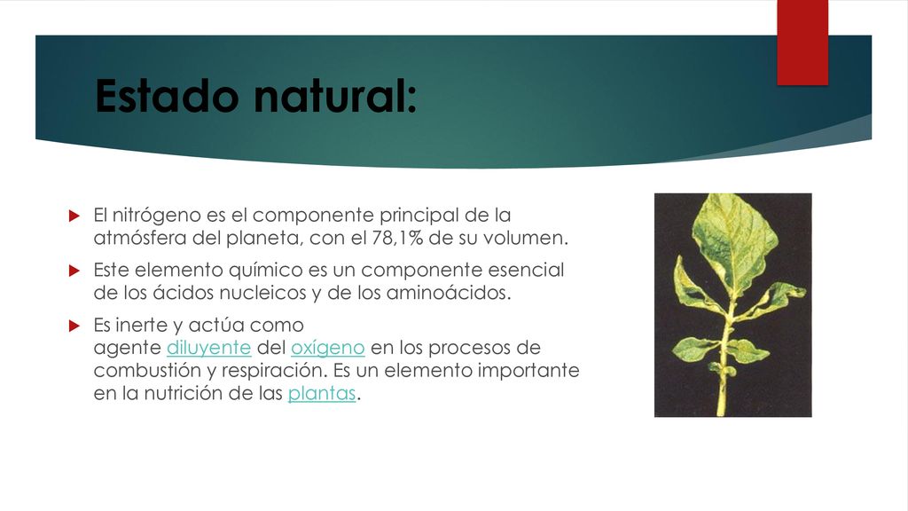 Estado natural: El nitrógeno es el componente principal de la atmósfera del planeta, con el 78,1% de su volumen.