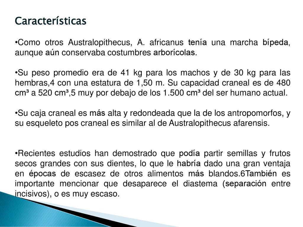 Características Como otros Australopithecus, A. africanus tenía una marcha bípeda, aunque aún conservaba costumbres arborícolas.