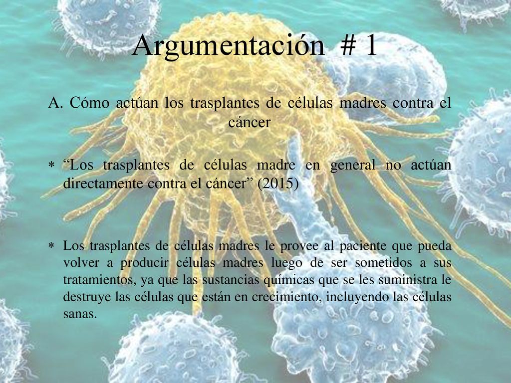 Argumentación # 1 A. Cómo actúan los trasplantes de células madres contra el cáncer.
