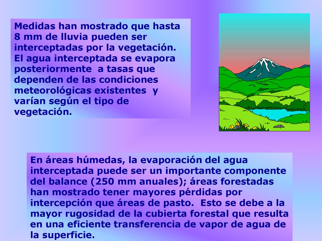 Medidas han mostrado que hasta 8 mm de lluvia pueden ser interceptadas por la vegetación. El agua interceptada se evapora posteriormente a tasas que dependen de las condiciones meteorológicas existentes y varían según el tipo de vegetación.