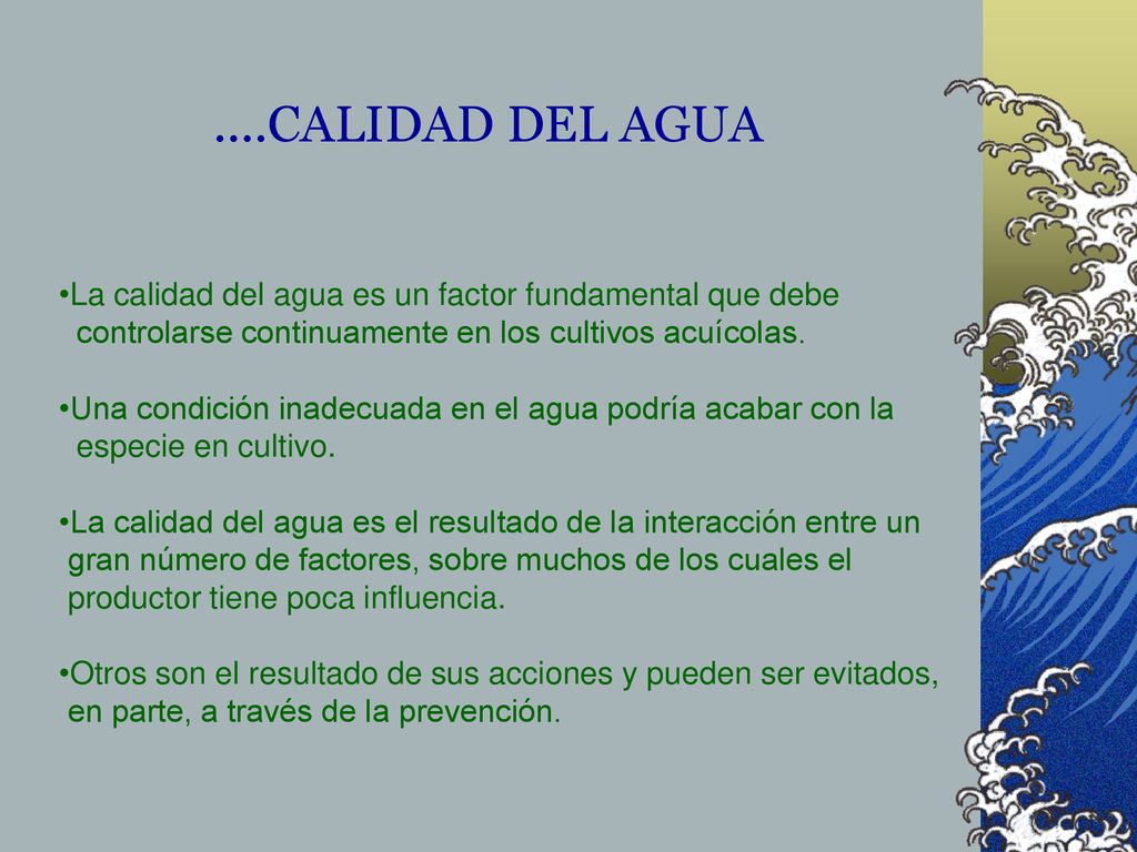 ....CALIDAD DEL AGUA La calidad del agua es un factor fundamental que debe. controlarse continuamente en los cultivos acuícolas.