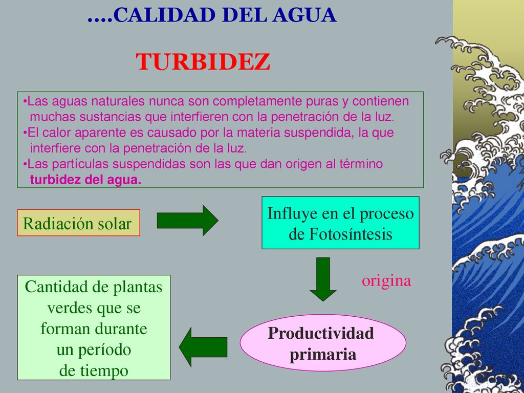 TURBIDEZ ....CALIDAD DEL AGUA Influye en el proceso Radiación solar