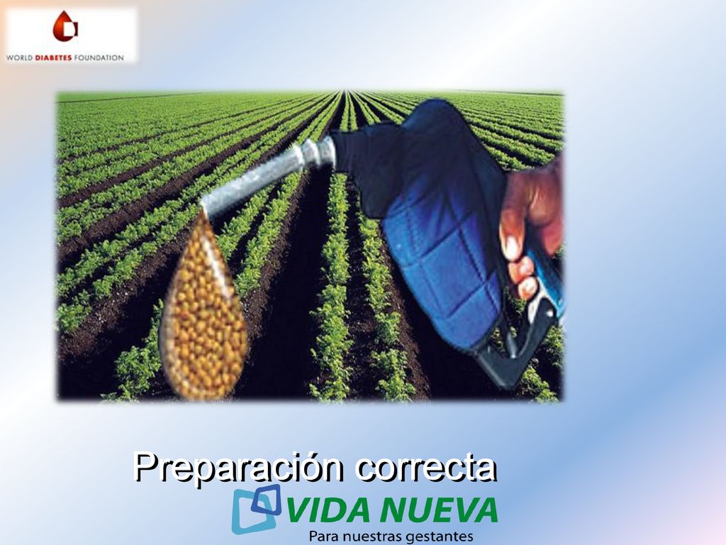 Preparación correcta La importancia del desayuno